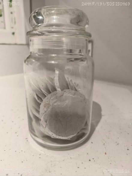 Photo of free Teabags (WV4 parkfields) #1