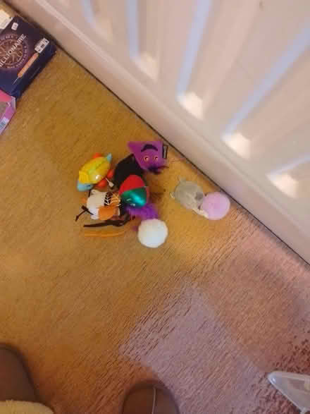 Photo of free Crafts, games, cat toys in big box (Tooting SW17) #3