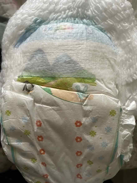 Photo of free Pull Ups Size 5 x 14 (Radbrook Green SY3) #2