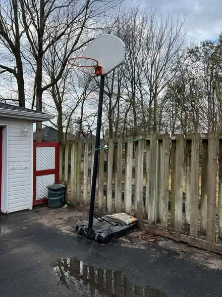 Photo of free Basketball Net (south end Little Lake) #1