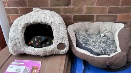 Photo of free Cat beds (Ilkeston DE7 DE7) #1