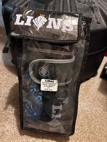 Photo of free Boxing gloves and punch bag (East Kilbride) #2