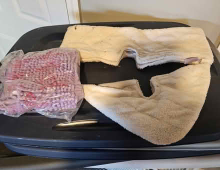 Photo of free Steam mop (Medford ma) #3