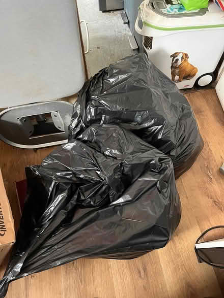 Photo of free Women’s clothes 16-24 (Ipswich IP2) #1