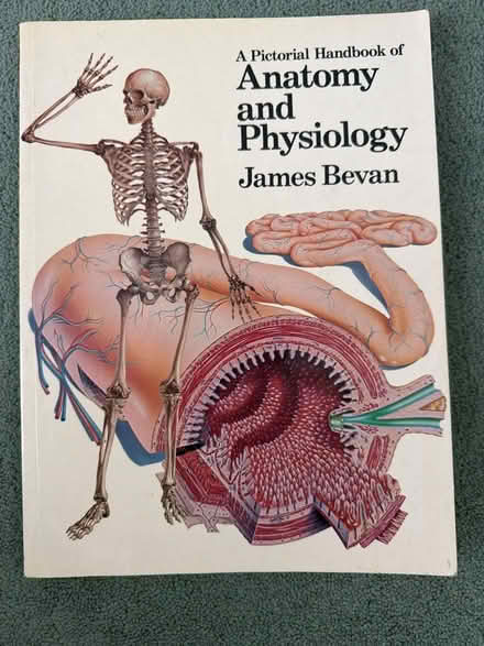 Photo of free Book Anatomy & Physiology (Welling DA16) #1