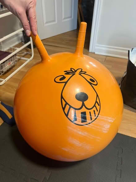 Photo of free Kids Bouncey/Exercise Ball (Bathurst and College) #1