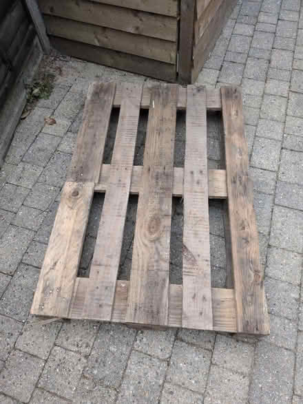 Photo of free Wooden pallet (EN11 - Hoddesdon) #1