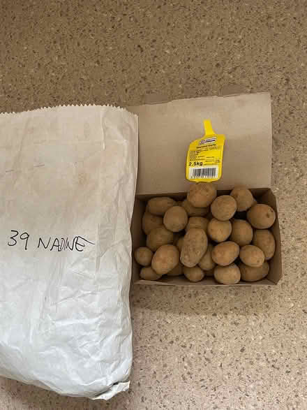 Photo of free 39 second early seed potatoes (Trowbridge BA14) #1