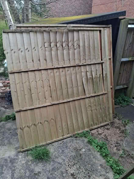 Photo of free Damaged 6'x6' fence panels (Headington OX3) #1