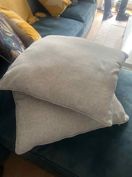 Photo of free Next cushions (East Croydon CR0) #1