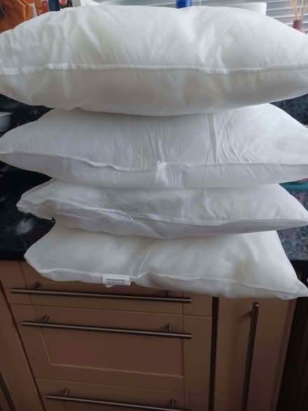Photo of free 4 cushion inserts (Kenilworth CV8) #3