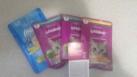 Photo of free Cat food (St George/Dupont) #1