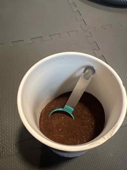 Photo of free Black + Decker Coffee Maker (Bathurst and College) #4