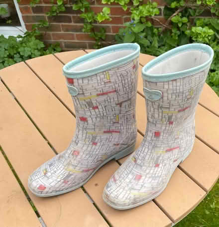 Photo of free Lady's Wellingtons size 8 (Buggs Bottom RG4) #1