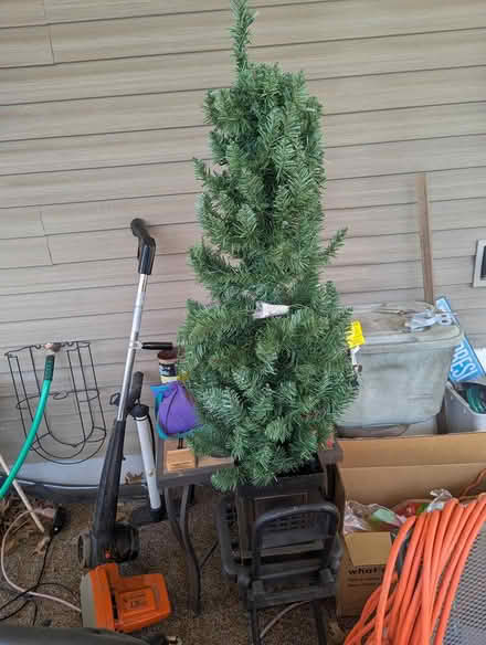 Photo of free Small Xmas Tree (Glen Burnie near GBHS.) #1