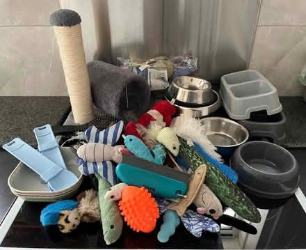Photo of free Kitten items (Horfield BS7) #1
