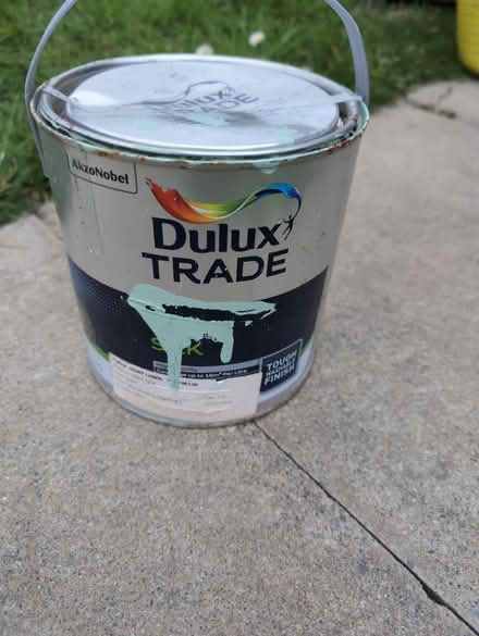 Photo of free Dewy lawn paint (Calcot RG31) #1