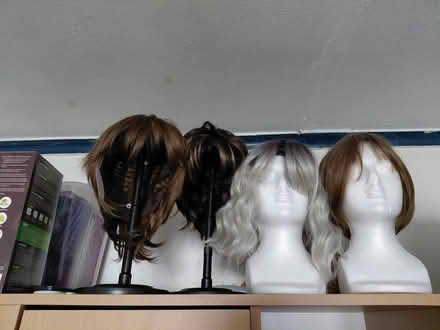 Photo of free 5 wigs on stands (Rowner PO13) #1