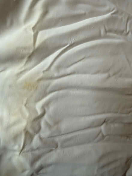 Photo of free Two adult sleeping bag liners (Salford M30) #4