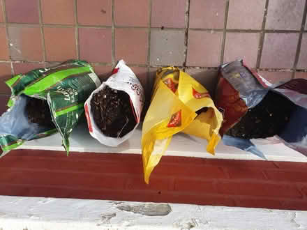 Photo of free Home grown compost (Central park, East Ham E6) #1