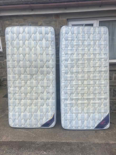 Photo of free Two mattresses (Dungworth S6) #1