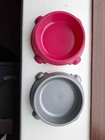 Photo of free Pet bowls (Walkley S6) #2