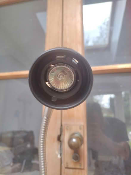 Photo of free Free standing halogen lamp (Norwich NR7) #2