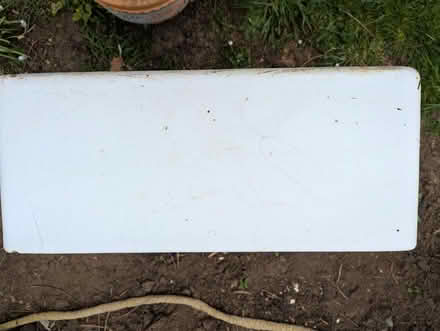 Photo of free Belfast sink planter (Hitchin, SG5) #4