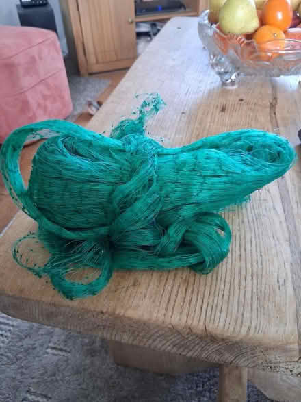 Photo of free Green garden netting (Bexhill TN40) #1