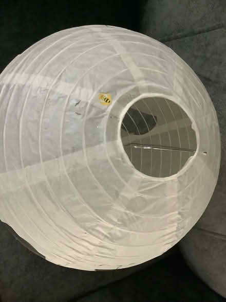 Photo of free Paper panda lampshade (Rackheath NR13) #3