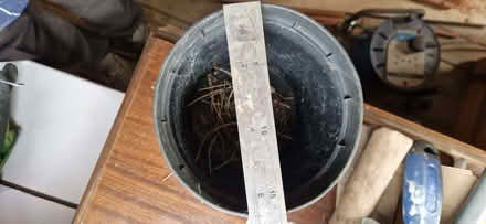 Photo of free Plant pots (Horsforth LS18) #2