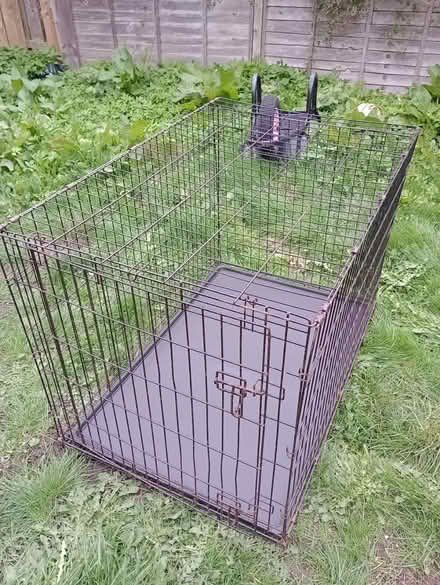 Photo of free Dog cage (medium dog) (Harton, NE34) #1