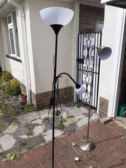 Photo of free Standard Lamp (Swaythling SO16) #1