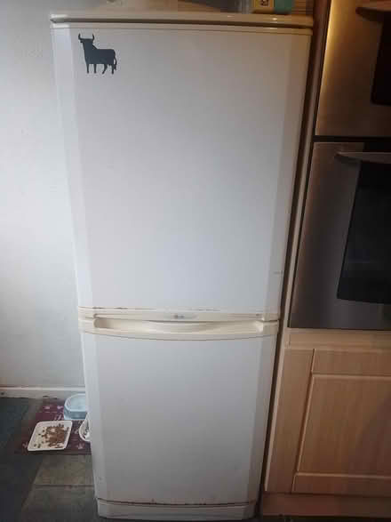 Photo of free fridge freezer - lg (B14 4HR) #1