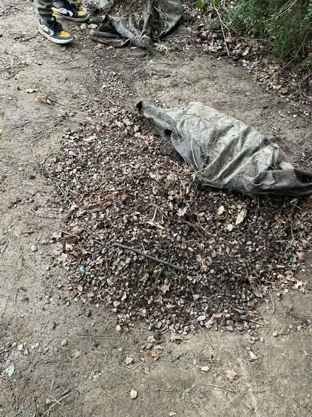 Photo of free Garden stones (Horley RH6) #2