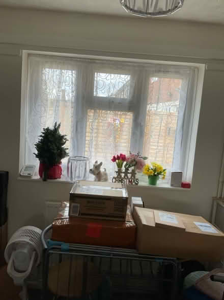 Photo of free 2 x white net curtains and rods (Peterborough PE2) #1