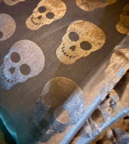 Photo of free Black Skull Shower Curtain (Stanford in the Vale SN7) #1