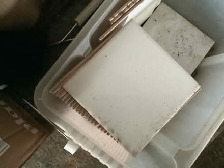 Photo of free White ceramic tiles (Rackheath NR13) #1