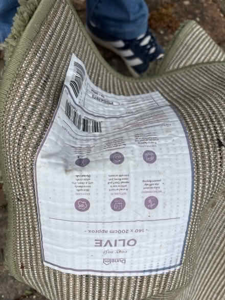 Photo of free Green rug 200cm by 140 cm approx (Shippon OX14) #2