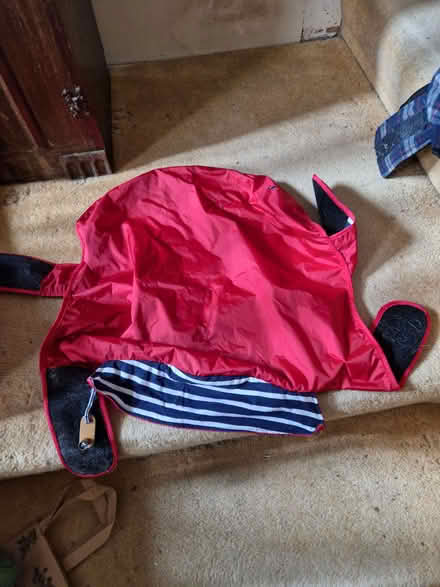 Photo of free Dog coats (Stoke Newington N16) #1