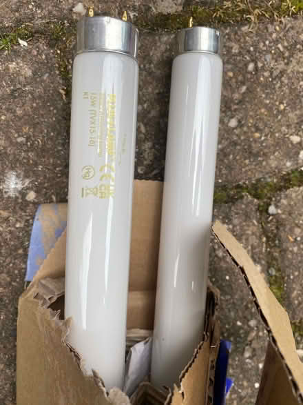 Photo of free 15W lamps for insect catchers(?) x 4 (Cogges OX28) #1