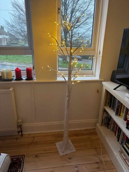 Photo of free LED plug in tree light (Hollingbury) #1