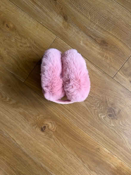Photo of free Ear muffs (North London) #1