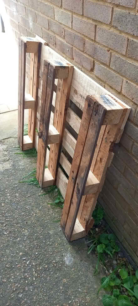Photo of free Wooden Pallet (Ashton Green BN8) #2