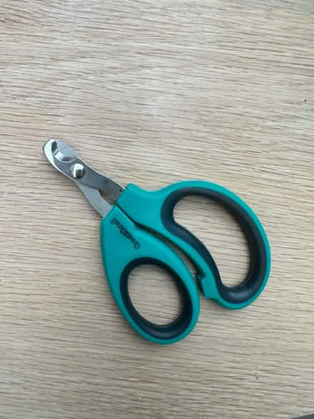 Photo of free Dog nail clippers (Queen’s Park) #1