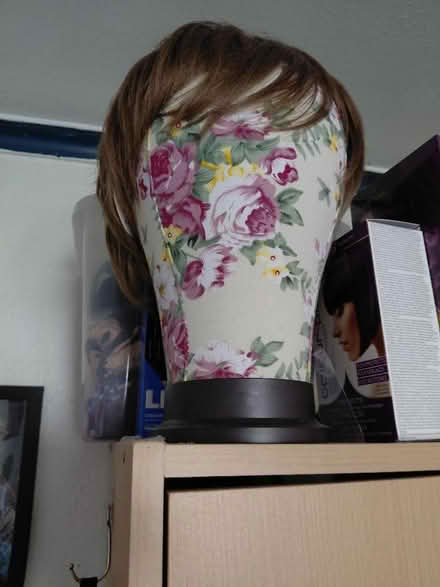Photo of free 5 wigs on stands (Rowner PO13) #2