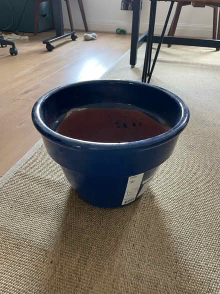 Photo of free Large blue plant pot (Forest Hill SE23) #1