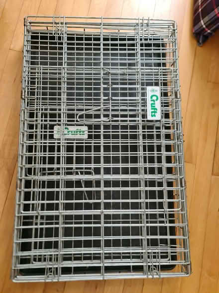 Photo of free Crufts Metal Dog Crate (Thames Ditton KT7) #1