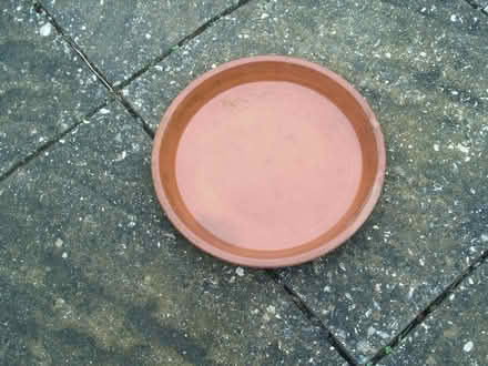 Photo of free Terracotta plant pot base 30cm wide (Portslade by Sea BN3) #1