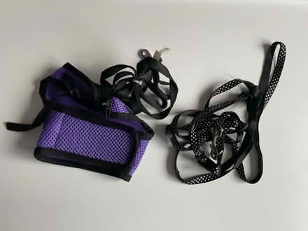 Photo of free Small animal harness and lead (Katesgrove, Reading, RG2) #2